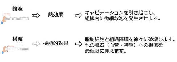 縦波と横波（剪断波)